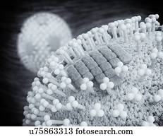 vírus gripe, partículas, artwork