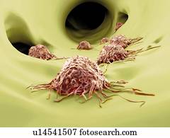 câncer, celas, artwork