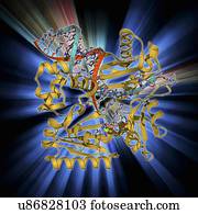 adn, polymerase, iv, com, adn