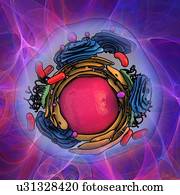 Animal cell structure, artwork