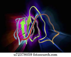 inseto, antifreeze, proteína