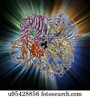 vírus gripe, superfície, proteína, molécula