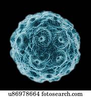 Brome mosaic virus (BMV), computer artwork.