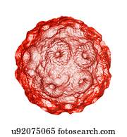 Brome mosaic virus (BMV), computer artwork.