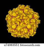 Satellite panicum mosaic virus, computer artwork.