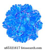 Turnip yellow mosaic virus, computer artwork.