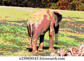 elefante