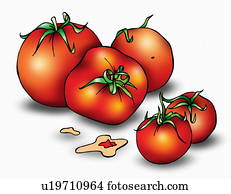 Fresh tomatoes