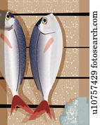 Two fresh fish in a crate