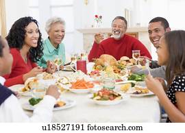 Family All Together At Christmas Dinner Stock Image | u14012421