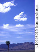 Clouds in the clear sky