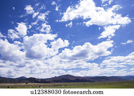 Clouds in the clear sky