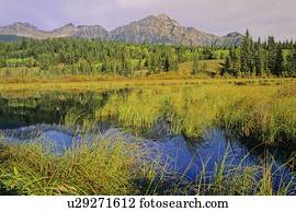 The Ramparts And Amethyst Lakes Tonquin Valley Jasper National