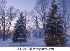 Weihnachtsbaum, draußen, baum, sternenlicht, dekorationen, feiertag