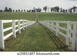 lexington kentucky pastures bluegrass fences