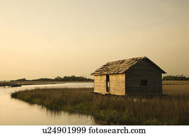gasto, predios, em, pântano, ligado, ilha cabeça calva, norte, Carolina.