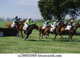 steeplechase, raça