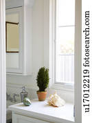 limpo, metade, banheiro, com, planta