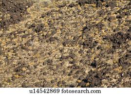 Basalt lava rock escarpment