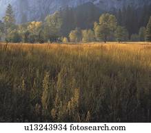 Yosemite National Park