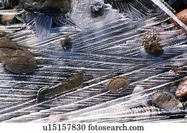 Ice pattern detail