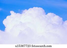 Cumulus clouds