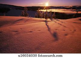 Summit in the Cascade Mountains