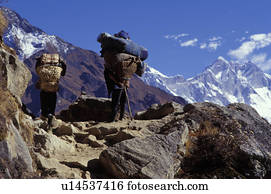 mountaineers, ligado, montanha