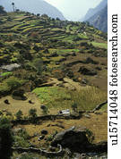 Mountainous agricultural landscape