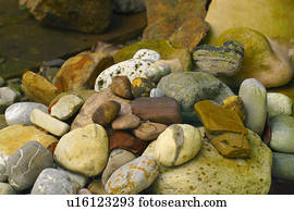Rocks