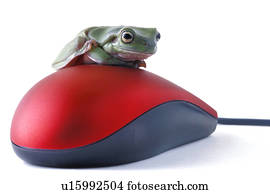 rã, senta-se, ligado, um, rato