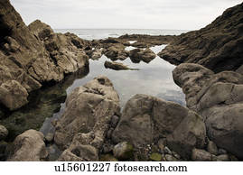 rocky seashore pictures