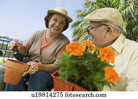Senior couple gardening