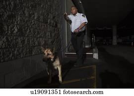 Security guard in alleyway pursuit with guard dog