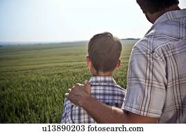 pai filho, em, wheat-field