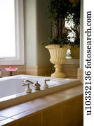 Detail of Jacuzzi Tub and Plant