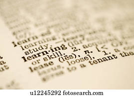 foco seletivo, de, dicionário, definição, para, a, palavra, learning.