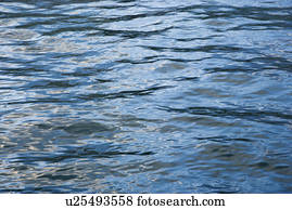 ondas, em, oceânicos