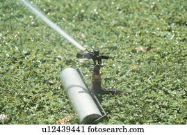 Rasen Sprinkler Stock Photo Bilder 3.604 rasen sprinkler Lizenzfreie