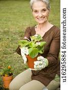 A senior woman gardening