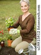 A senior woman gardening