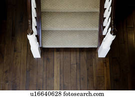 Aerial view traditional carpeted staircase and hardwood floor