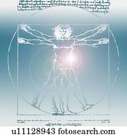 davinci, desenho, de, corporal, de, homem