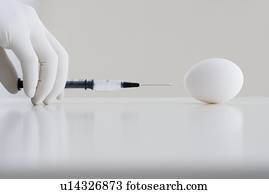 Gloved hand giving injection to egg