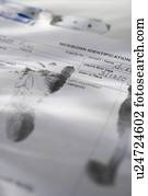 Infant's, pegadas, ligado, certidão nascimento