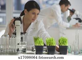 cientista, examinando, plantas, em, farmacêutico, laboratório