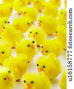 Abundance Of Easter Chicks
