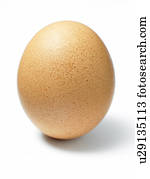 Studio Shot Of An Egg