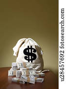 Bag of money
