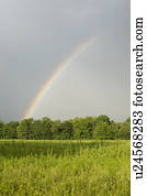 a, regenbogen, in, a, feld